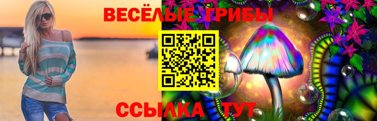 Псилоцибиновые грибы Cubensis  Псилоцибиновые грибы Psilocybe  Егорьевск  Вход с VPN 